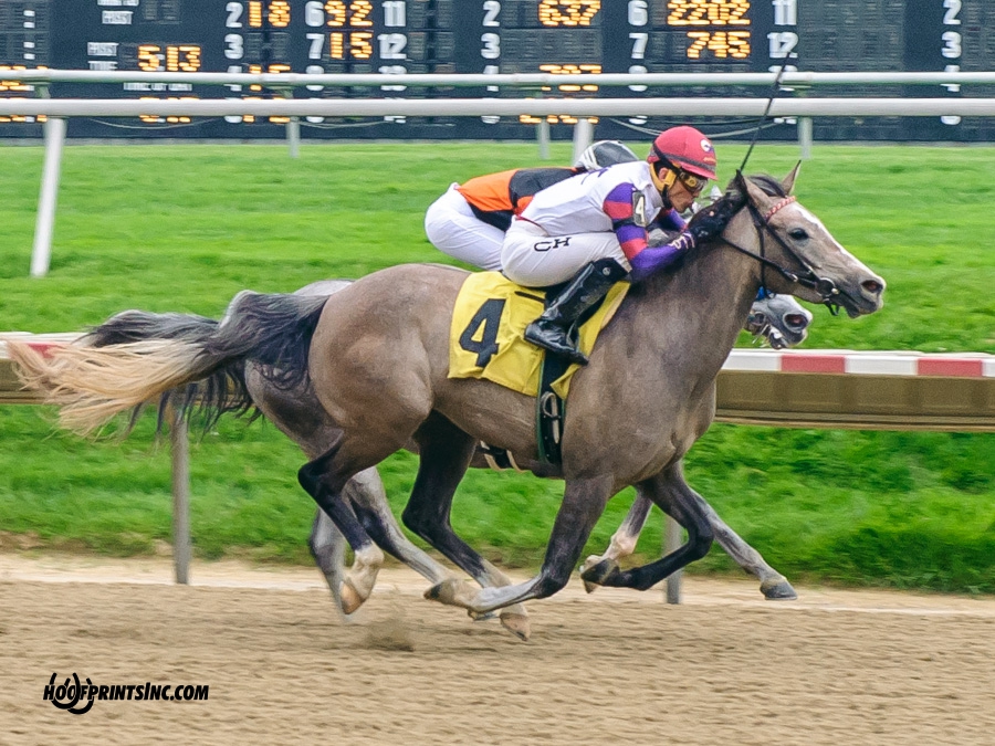 Iridesse winning at Delaware Park on 5/4/19